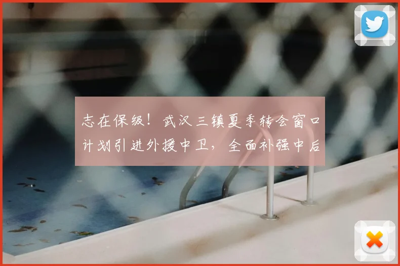 志在保级!武汉三镇夏季转会窗口计划引进外援中卫,全面补强中后场内援_防守_防线_中超
