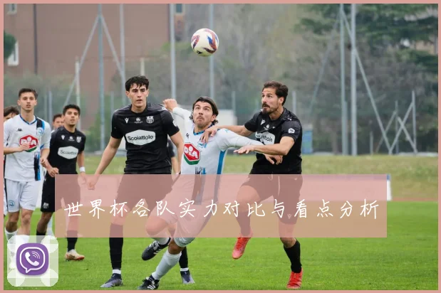 世界杯各队实力对比与看点分析
