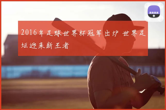 2016年足球世界杯冠军出炉 世界足坛迎来新王者