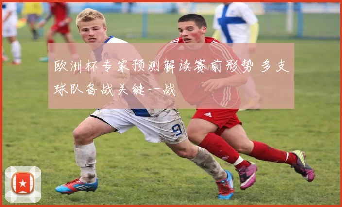 欧洲杯专家预测解读赛前形势 多支球队备战关键一战